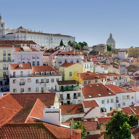 Go Native - Center * Lisboa