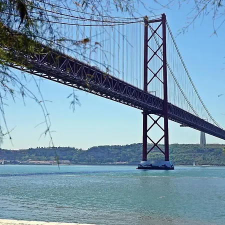 Go Native - Center Lisboa